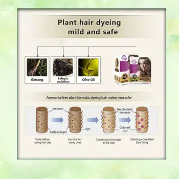 25ml Šampoon Kauakestev Juuste Ravi Värvikas Looduslik Juuste Värvimise Šampoon Hair Salon