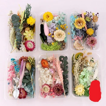 1 Karp Tõeline Kuivatatud Lilled Ja Kuivatatud Taimed Silikoon Hallituse DIY Tarvikud, Epoksüvaik-Ehete Tegemine, Käsitöö Tarvikud