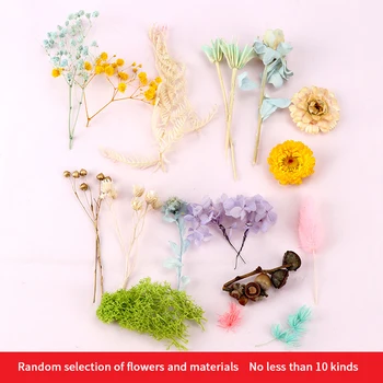 1 Karp Tõeline Kuivatatud Lilled Ja Kuivatatud Taimed Silikoon Hallituse DIY Tarvikud, Epoksüvaik-Ehete Tegemine, Käsitöö Tarvikud