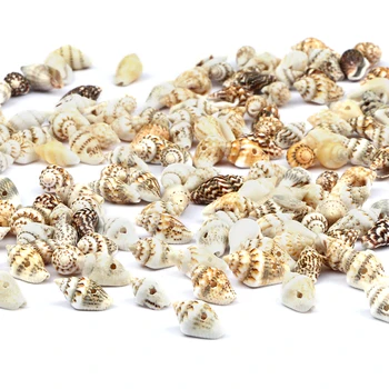 Looduslikud Väike Conch Shell Pärl Hulgimüük 5-15mm Rand, Seashell Diy Käsitöö Tarvikud Ehted Kaelakee, Käevõru Anklet Tegemine