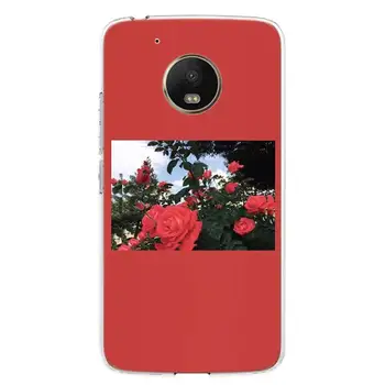 Esteetiline kunst Roosa Punane Päevalille Kass värvi Telefoni Puhul Motorola Moto G9 G8-G7 G5 G6 E6 E5 Pluss Play Power + Üks Tegevus Makro