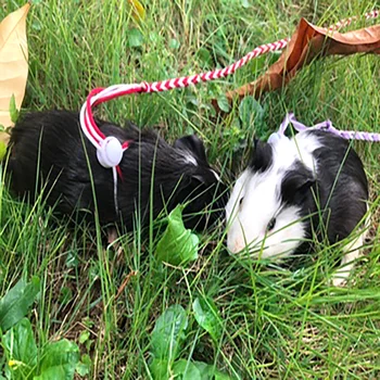Uus Reguleeritav Rihm Krae Merisiga Lemmikloomad Hamster Veojõukontroll Trossi Hamster, Küülik Põimitud Rada Köis