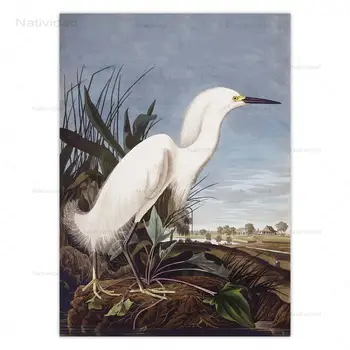 Vintage Lind Lõuend Print Blue Heron Valge Egret Öökull Pelicans Loomade Pildid Lõuendile Maali Seina Art Plakateid Tuba Decor
