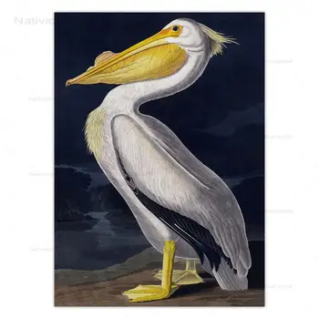 Vintage Lind Lõuend Print Blue Heron Valge Egret Öökull Pelicans Loomade Pildid Lõuendile Maali Seina Art Plakateid Tuba Decor